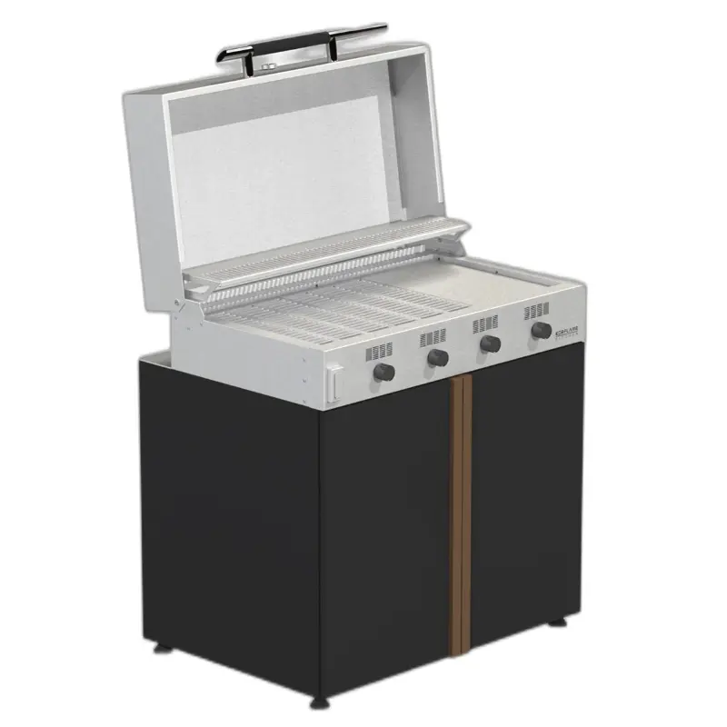 4-Flammen-Gasgrill mit Unterschrank (Propan)